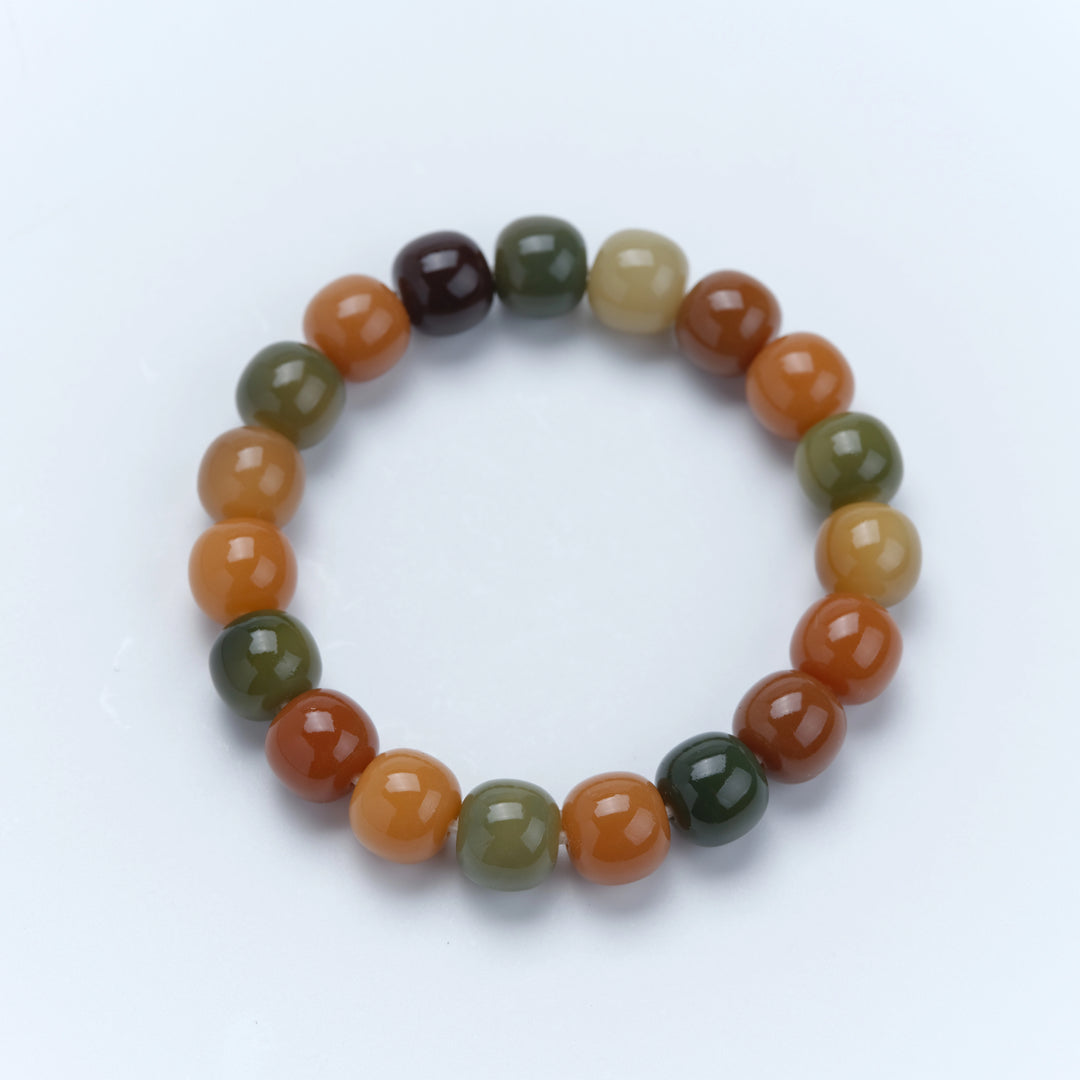 Multi-Color Bodhi Root Bracelet - Vibrant Wisdom & Spiritual Journey
